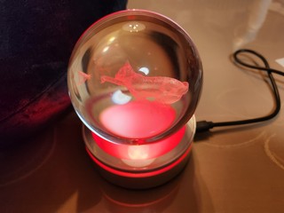 20240304_201638.jpg