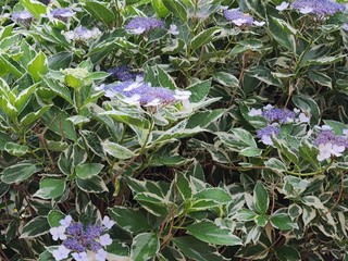 20240617_071523.jpg