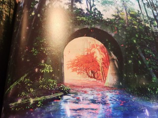 20241104_214556.jpg