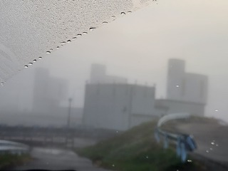 20241122_065511.jpg