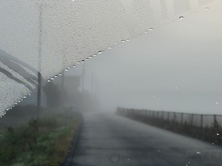 20241122_065826.jpg
