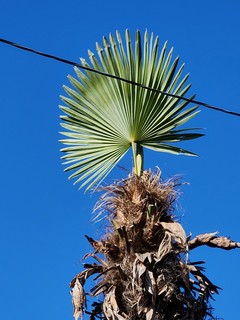 20241125_120248.jpg