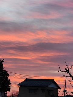 20241231_064705.jpg