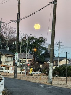 20250114_064453.jpg