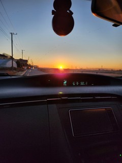20250114_065622.jpg