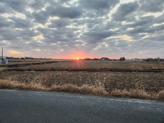 20250123_065035.jpg