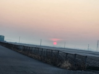 20250124_065035.jpg