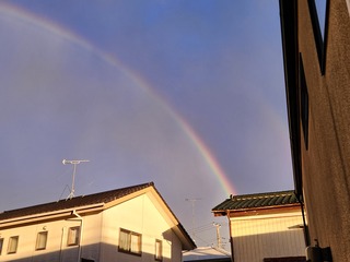 20250415_175937.jpg
