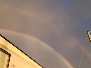 20250415_180013.jpg