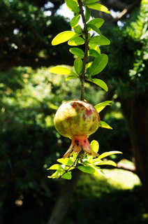 DSC02836.jpg