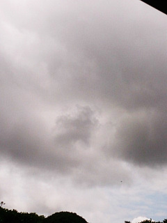 DSC_0418.jpg