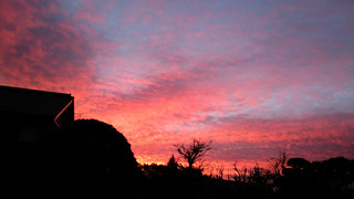 DSC_0664.jpg