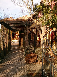 DSC_1003.jpg
