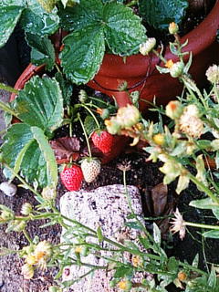 DSC_1204.jpg