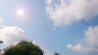 DSC_1268.jpg