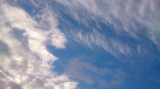 DSC_1410.jpg