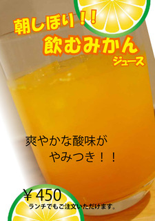 飲むみかんジュース.jpg